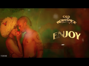 Tekno – Enjoy (Visualizer)