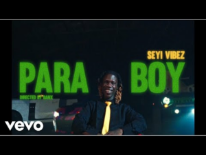 Seyi Vibez – Seyi Vibez – Para Boi